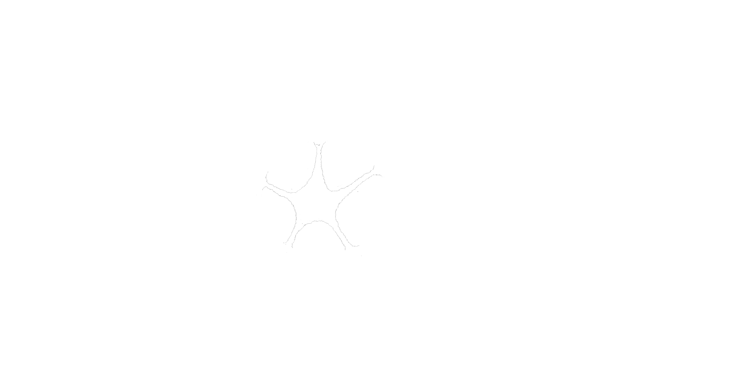 logo_lobé_Blanc